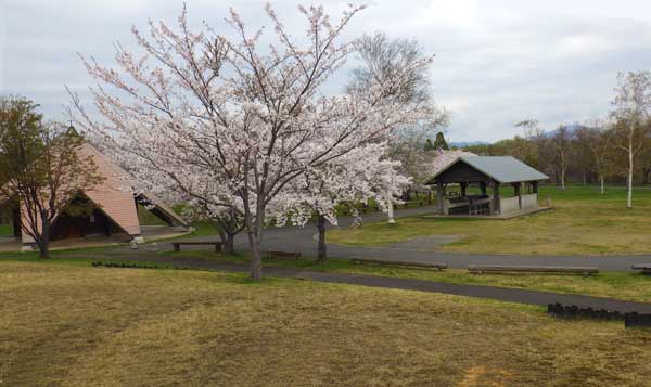 芦野公園オートキャンプ場