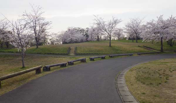 芦野公園オートキャンプ場