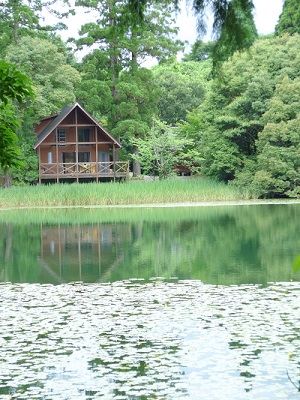 池の山キャンプ場 麻生池