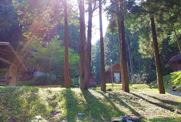 キャンプ場