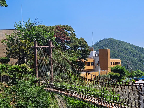 広島市グリーンスポーツセンター冒険橋