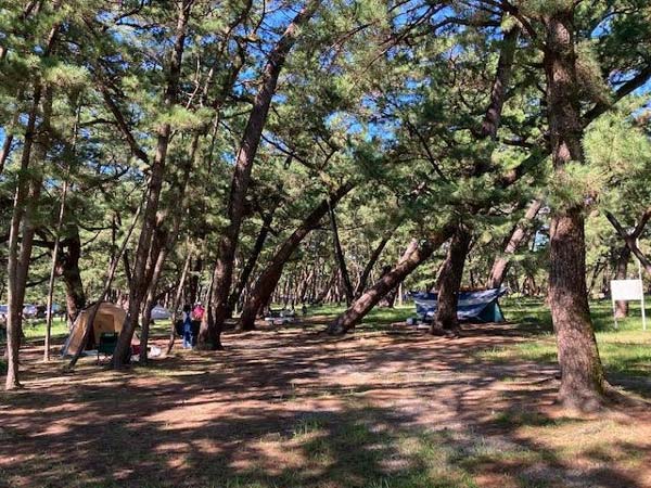 高知県立種崎千松公園