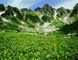 千畳敷カール（夏）