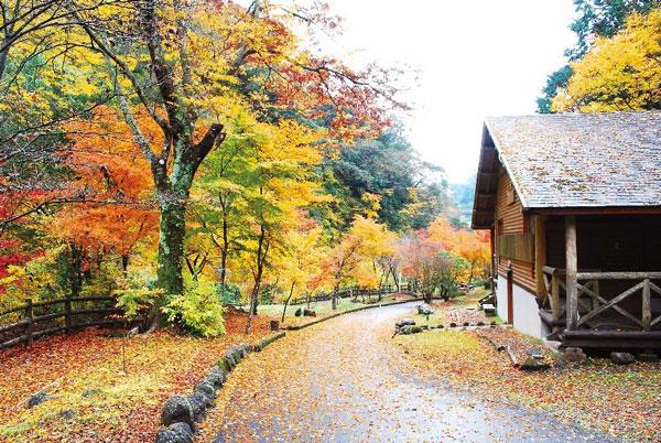 須津山休養林キャンプ場