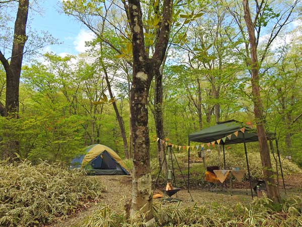 栃木県県民の森キャンプ場