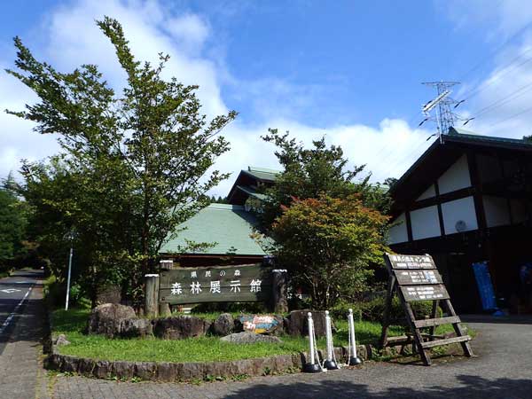 森林展示館