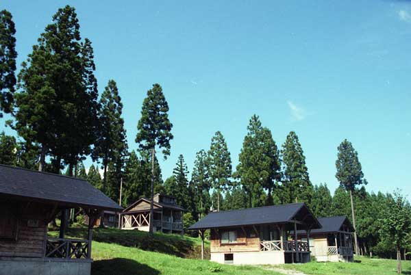 健康の森横根