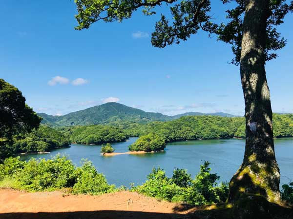 公園から豊田湖を望む