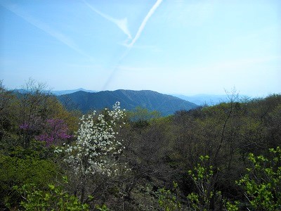 長野山緑地公園